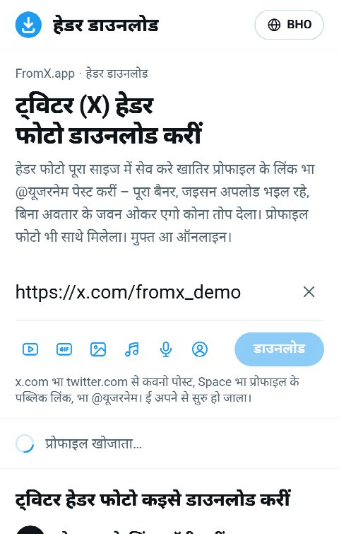 FromX.app के बक्सा में प्रोफाइल के लिंक पेस्ट भइल बा आ प्रोफाइल खोजाता