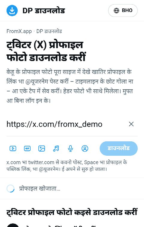 FromX.app के बक्सा में प्रोफाइल के लिंक पेस्ट भइल बा आ प्रोफाइल खोजाता