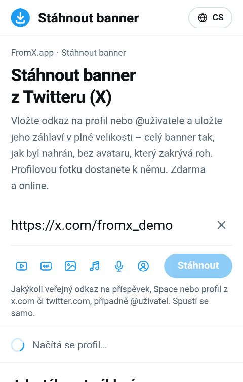 Odkaz na profil vložený do pole na FromX.app během vyhledávání profilu
