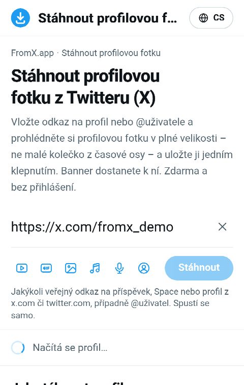 Odkaz na profil vložený do pole na FromX.app během vyhledávání profilu