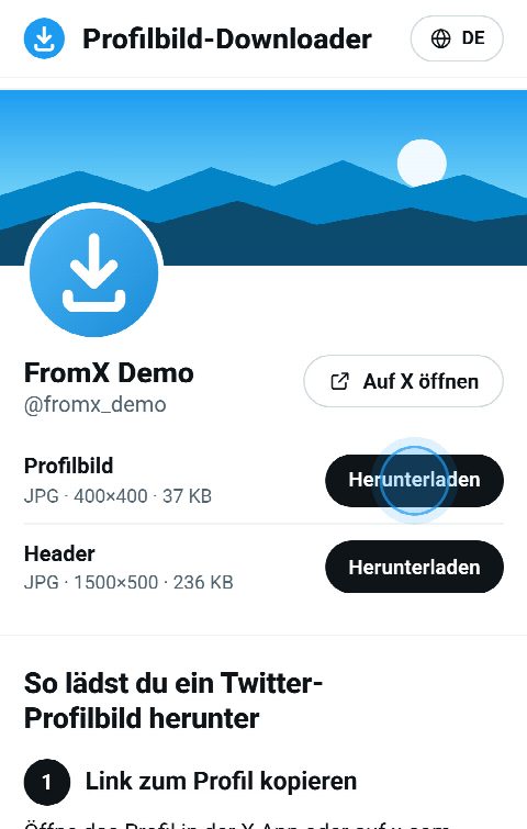 Die Profilkarte auf FromX.app mit „Herunterladen“-Buttons für Profilbild und Header