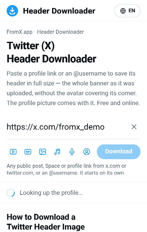 The profile link pasted into the field on FromX.app while the profile is looked up