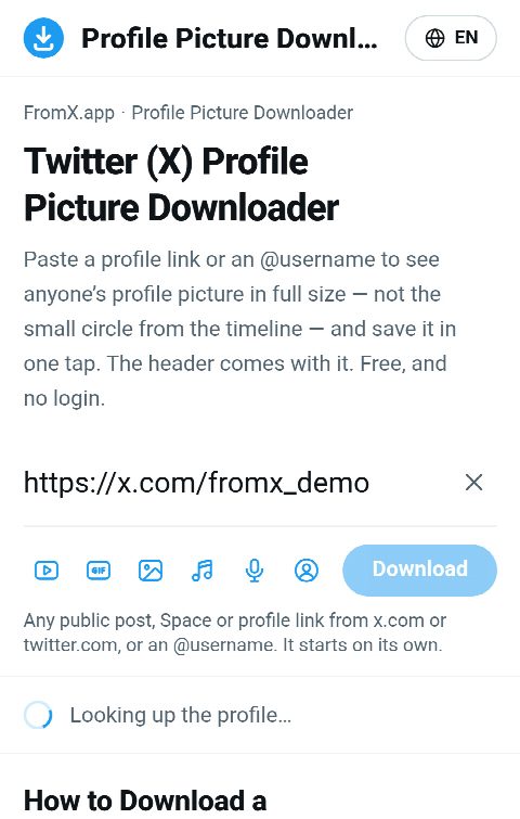 The profile link pasted into the field on FromX.app while the profile is looked up