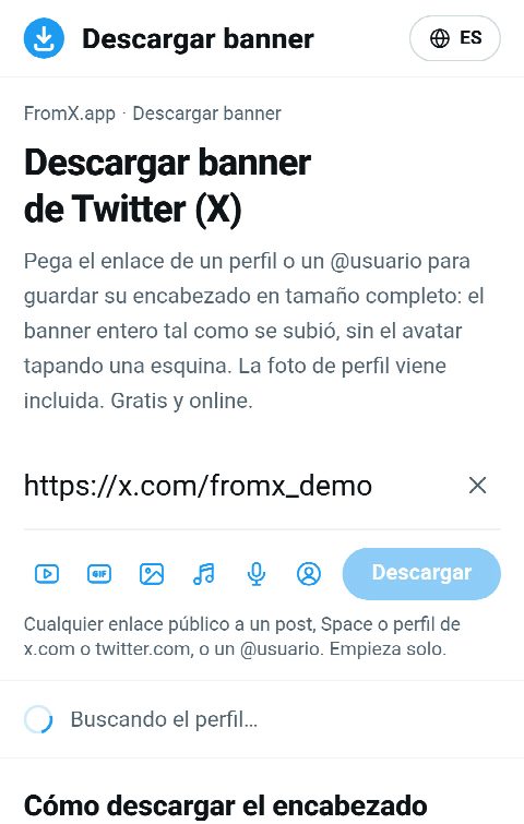 El enlace del perfil pegado en el campo de FromX.app mientras se busca el perfil