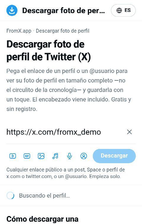 El enlace del perfil pegado en el campo de FromX.app mientras se busca el perfil