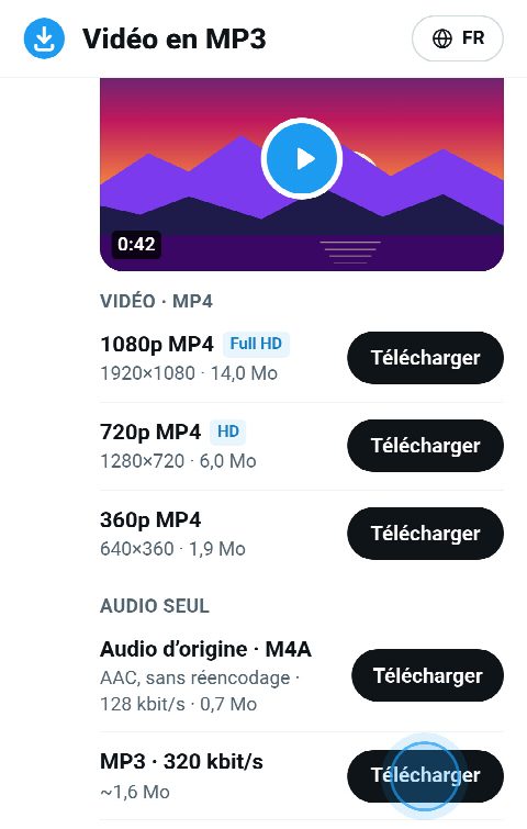 Le son de la vidéo sur FromX.app en M4A d’origine et en MP3 à 320 kbit/s