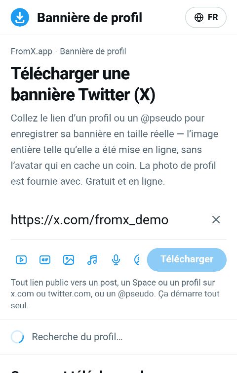 Le lien du profil collé dans le champ de FromX.app pendant la recherche du profil