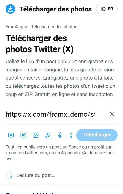 Le lien du post collé dans le champ de FromX.app pendant la recherche des photos