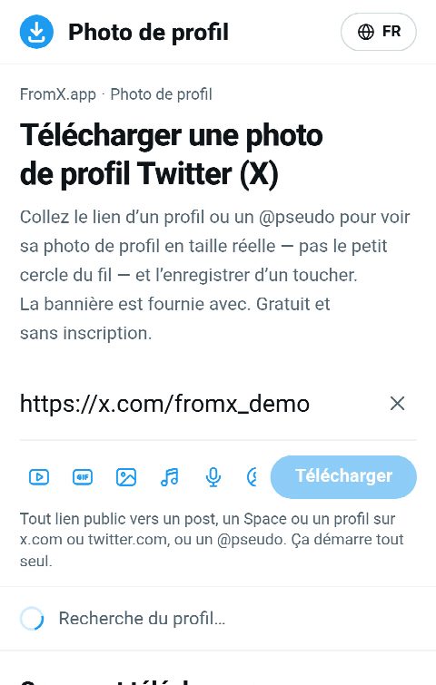 Le lien du profil collé dans le champ de FromX.app pendant la recherche du profil