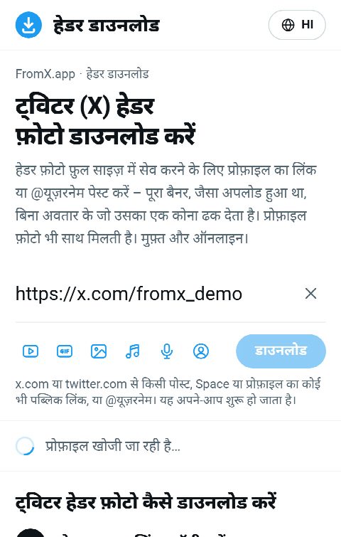 FromX.app के बॉक्स में प्रोफ़ाइल का लिंक पेस्ट किया गया है और प्रोफ़ाइल खोजी जा रही है