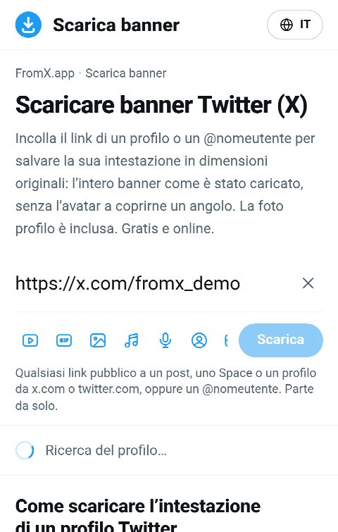 Il link del profilo incollato nel campo di FromX.app mentre si cerca il profilo