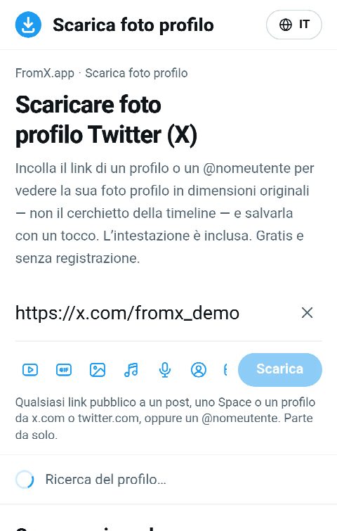 Il link del profilo incollato nel campo di FromX.app mentre si cerca il profilo