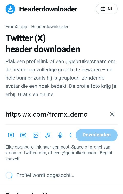 De link van het profiel in het veld op FromX.app terwijl het profiel wordt opgezocht