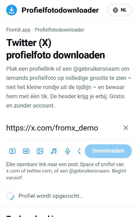 De link van het profiel in het veld op FromX.app terwijl het profiel wordt opgezocht
