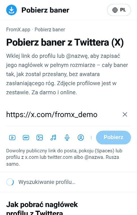 Link do profilu wklejony w pole na FromX.app podczas wyszukiwania profilu