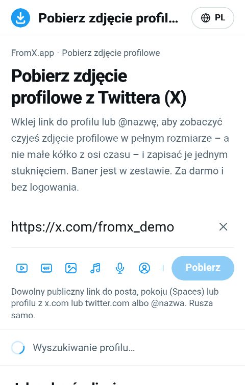 Link do profilu wklejony w pole na FromX.app podczas wyszukiwania profilu