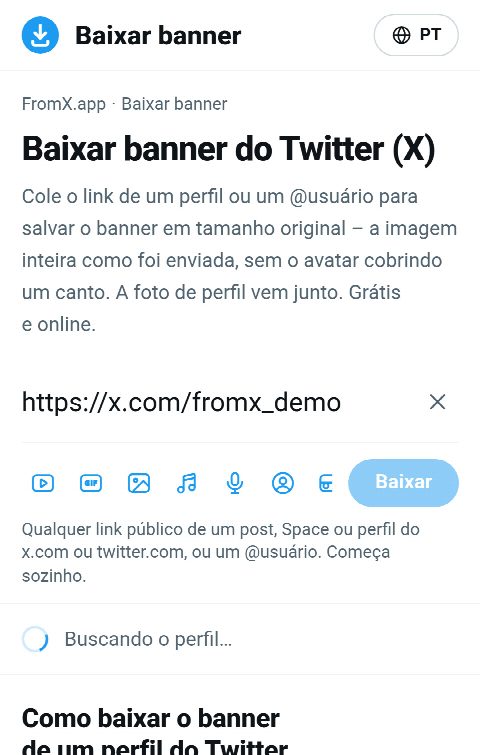 O link do perfil colado no campo do FromX.app enquanto o perfil é buscado