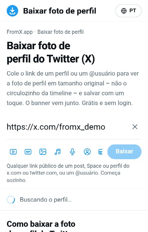 O link do perfil colado no campo do FromX.app enquanto o perfil é buscado