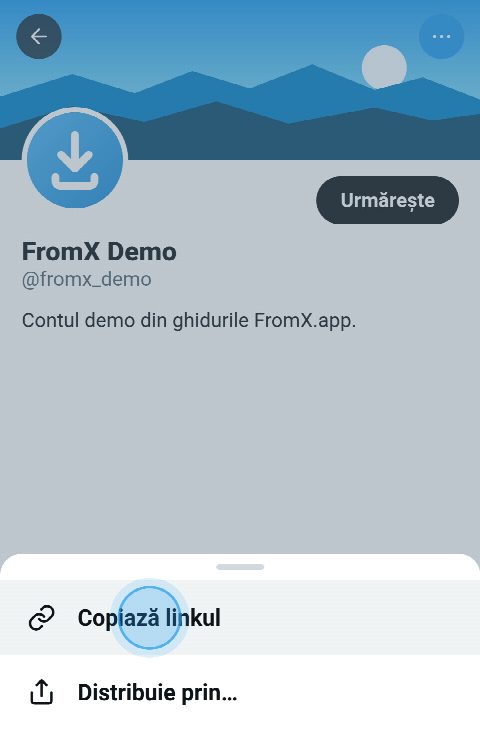 Un profil pe X cu meniul deschis și „Copiază linkul” selectat