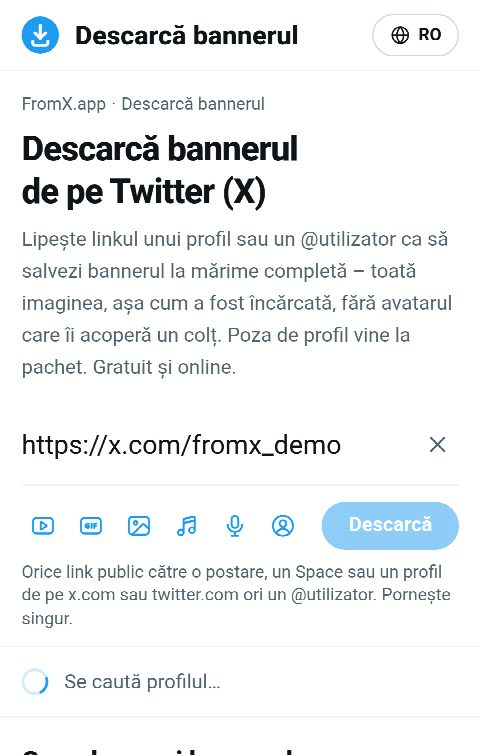 Linkul profilului lipit în câmpul de pe FromX.app în timp ce profilul este căutat