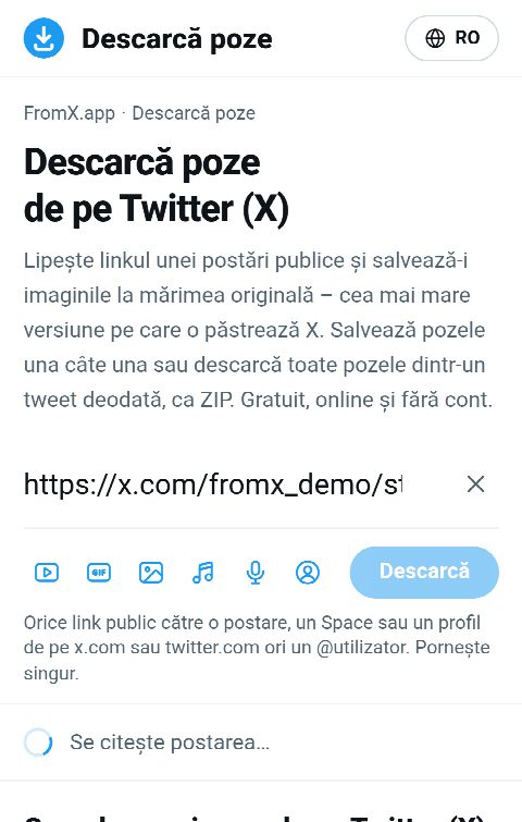 Linkul postării lipit în câmpul de pe FromX.app în timp ce pozele sunt căutate