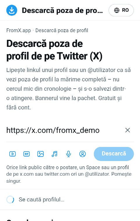 Linkul profilului lipit în câmpul de pe FromX.app în timp ce profilul este căutat