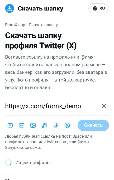 Ссылка на профиль вставлена в поле на FromX.app, идёт поиск профиля