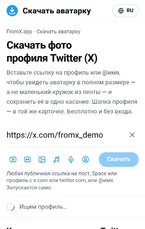 Ссылка на профиль вставлена в поле на FromX.app, идёт поиск профиля