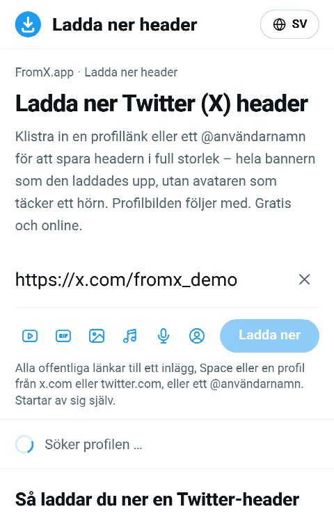 Länken till profilen inklistrad i fältet på FromX.app medan profilen hämtas