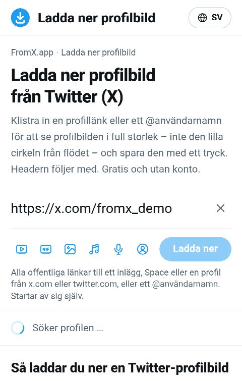 Länken till profilen inklistrad i fältet på FromX.app medan profilen hämtas