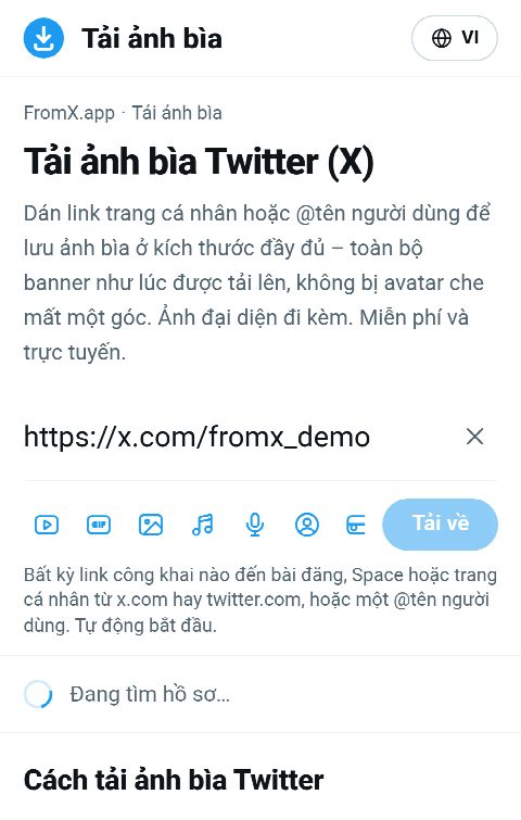 Link trang cá nhân được dán vào ô trên FromX.app trong lúc tìm trang cá nhân