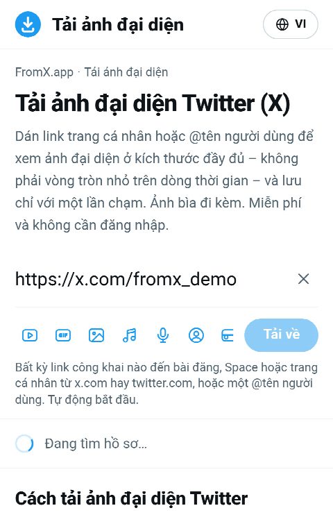 Link trang cá nhân được dán vào ô trên FromX.app trong lúc tìm trang cá nhân