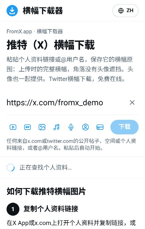 个人资料链接已粘贴到FromX.app的输入框，正在查找资料