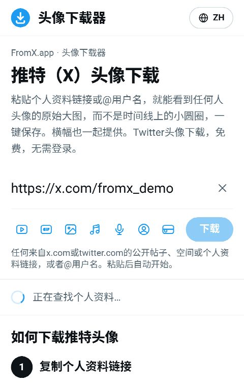 个人资料链接已粘贴到FromX.app的输入框，正在查找资料